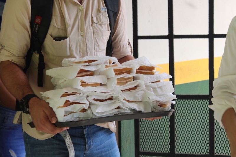 Evidencia Hato Chamí 1